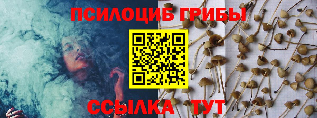 Ульяновск  Псилоцибиновые грибы GOLDEN TEACHER  Вход с VPN 